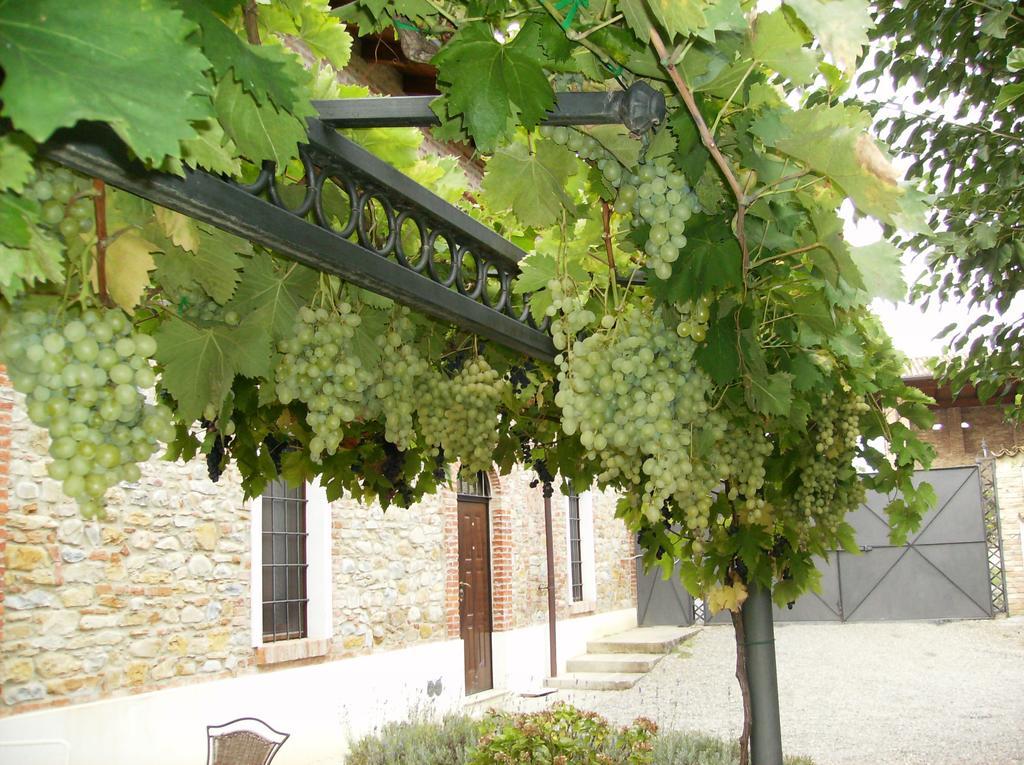 Agriturismo Casa Garello Salice Terme Εξωτερικό φωτογραφία