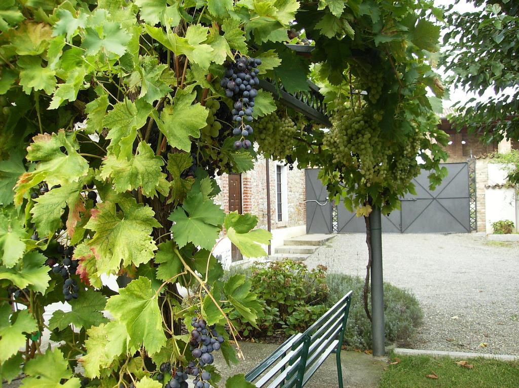 Agriturismo Casa Garello Salice Terme Εξωτερικό φωτογραφία